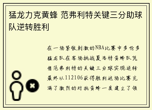 猛龙力克黄蜂 范弗利特关键三分助球队逆转胜利