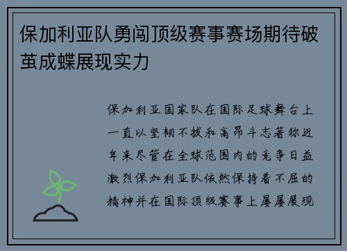 保加利亚队勇闯顶级赛事赛场期待破茧成蝶展现实力