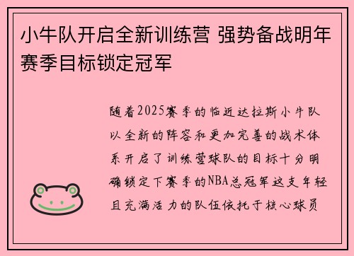 小牛队开启全新训练营 强势备战明年赛季目标锁定冠军