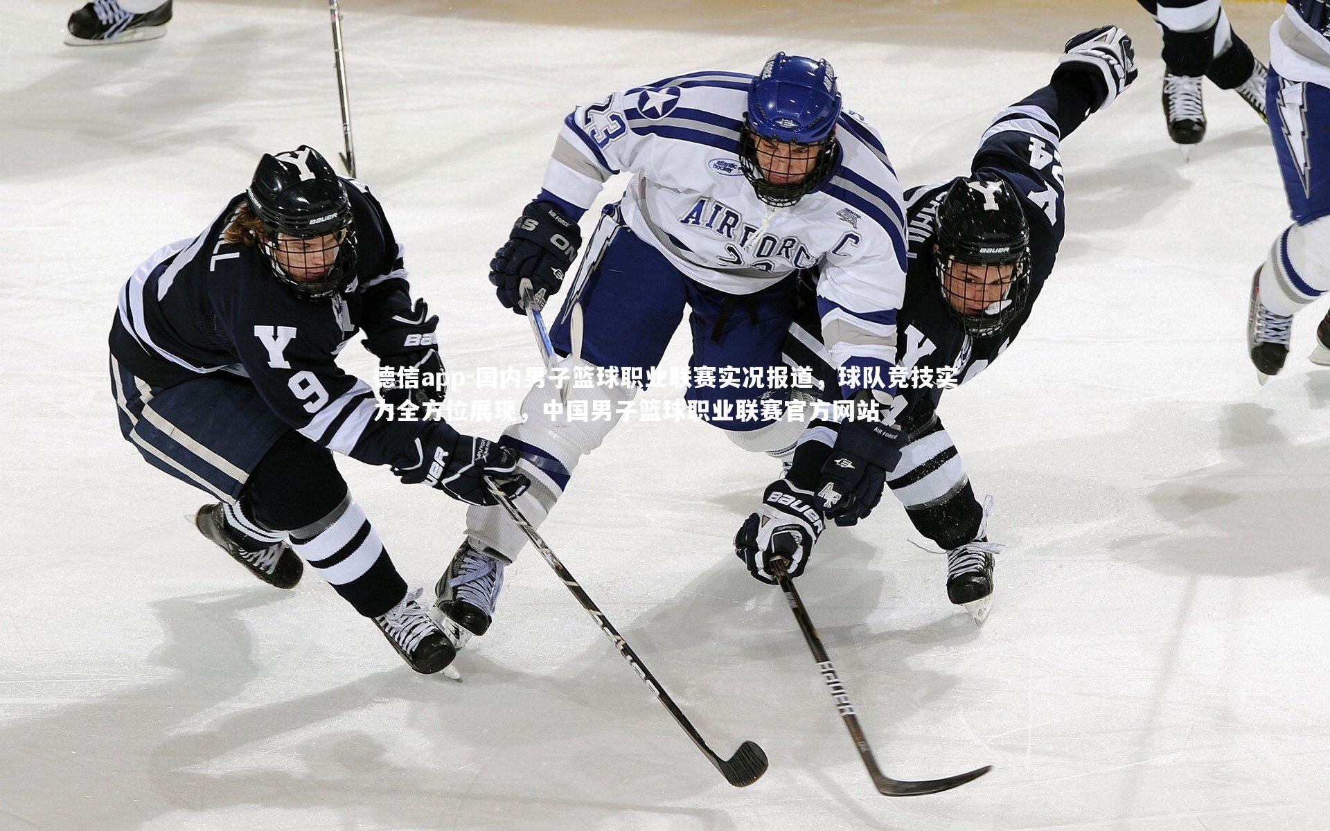 国内男子篮球职业联赛实况报道,球队竞技实力全方位展现,中国男子篮球职业联赛官方网站