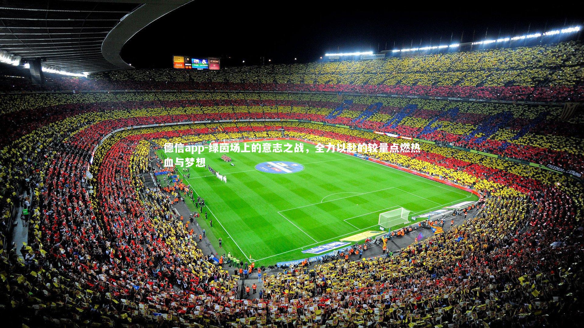 绿茵场上的意志之战，全力以赴的较量点燃热血与梦想